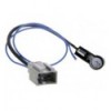 Cable adaptador antena HONDA Civic 06-12 - Fit -