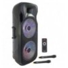 PARTY-215MKII BAFLE PORTATIL 2 x 15''/38cm - 1000W
