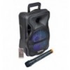 Karma PSB 8 Altavoz amplificado con micrófono inalámbrico - 300W PMPO
