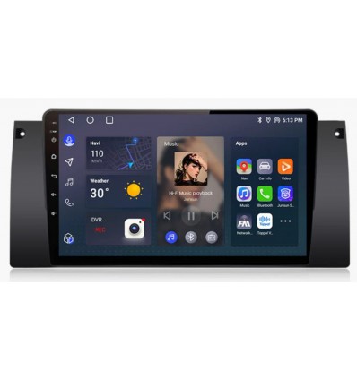 Pantalla Multimedia BMW Serie 5 E39 (1995-2003), BMW X5 E53 y M5