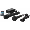 8" PORTABLE SET W/ VHF MIC/WIRED MIC/USB-SD/BT/VOX