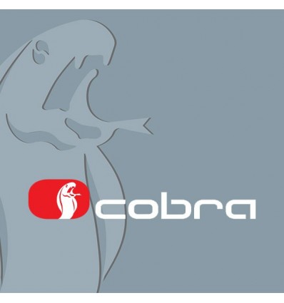 Programación Alarma Cobra