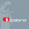 Programación Alarma Cobra